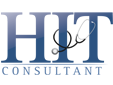 HIT Consultant Media
