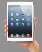Will Physicians Embrace the iPad Mini