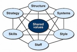 The 7Ss of Digital Health Startup Success