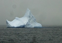 Meaningful Use Dropout Rate Is Just the Tip of the Iceberg