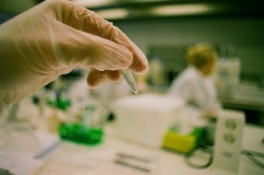 NYC Starts $100M Biotech Fund To Invest in Life Sciences Startups
